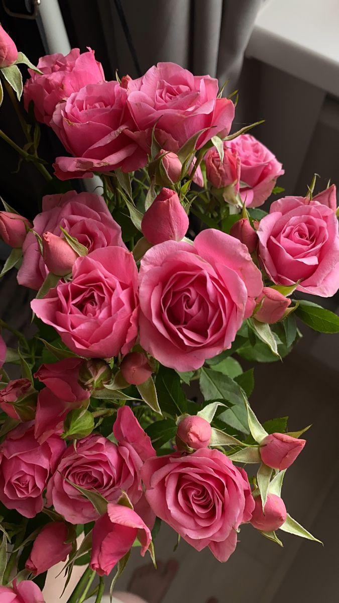 Ocean Breeze Gentle Blossom Mix